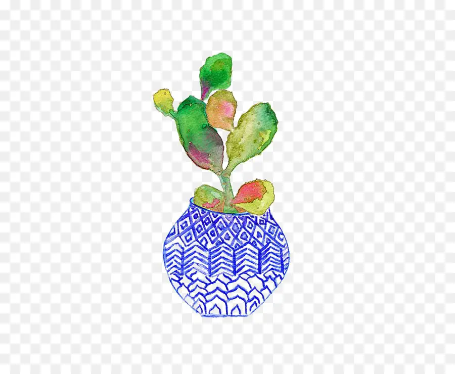 Cactaceae，Pintura A La Acuarela PNG