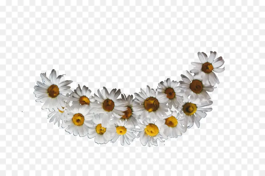 Corona，Garland PNG