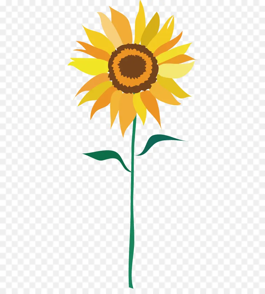 Común De Girasol，Flor PNG