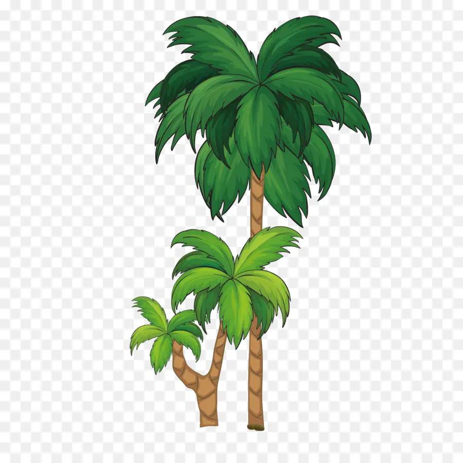 Arecaceae，árbol PNG