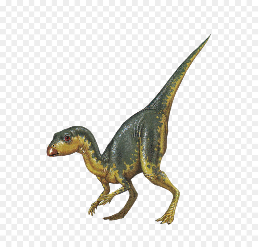 Tyrannosaurus，Dinosaurio PNG