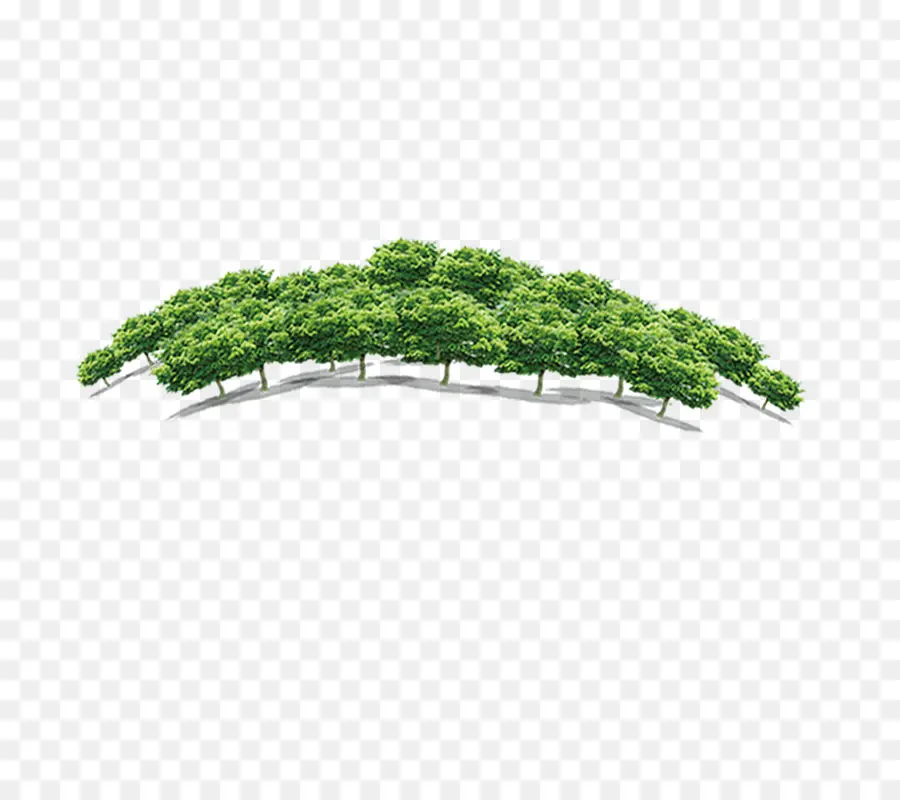 Quancheng De Bienes Raíces，árbol PNG