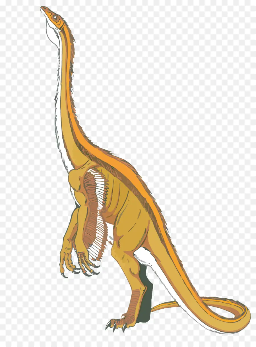 Velociraptor，Tyrannosaurus PNG