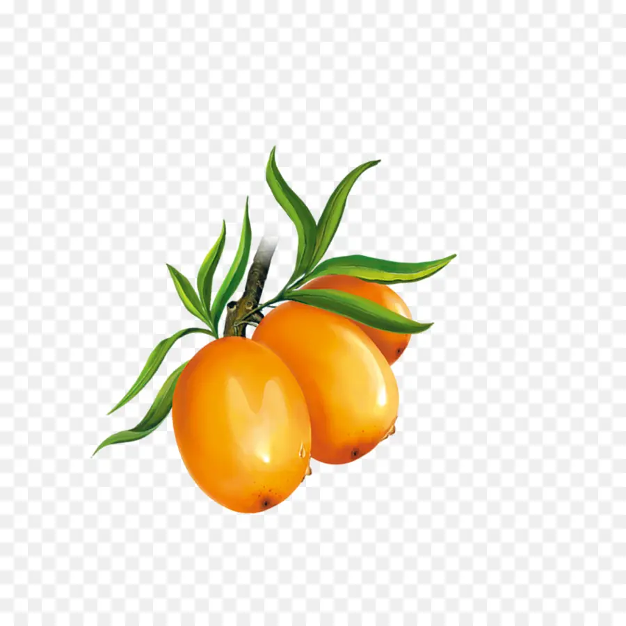 Tomate Cherry，Clementine PNG