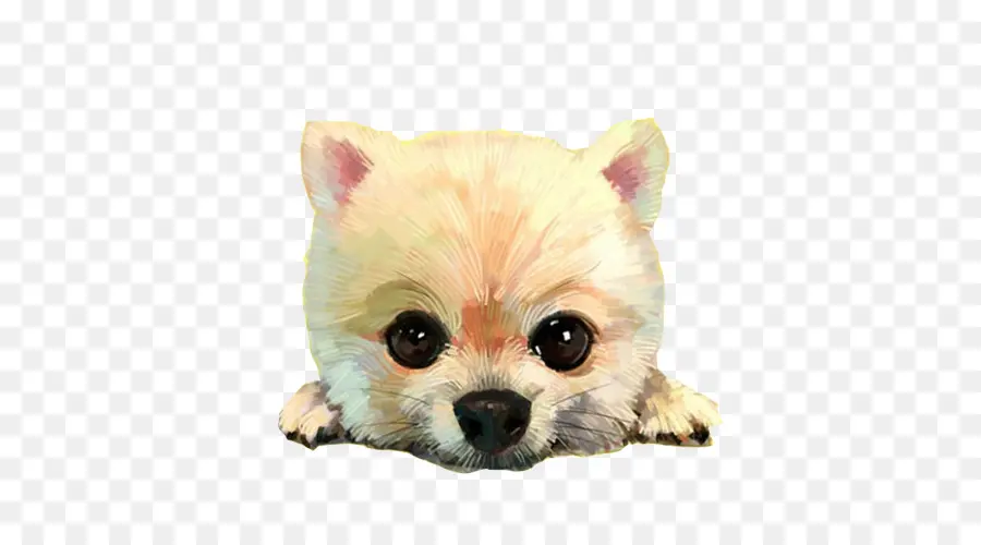 Pomerania，De Dibujos Animados PNG