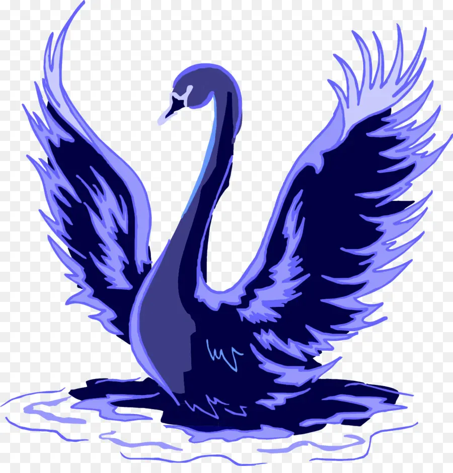 Cisne Negro，Cisnes Trompeteros PNG