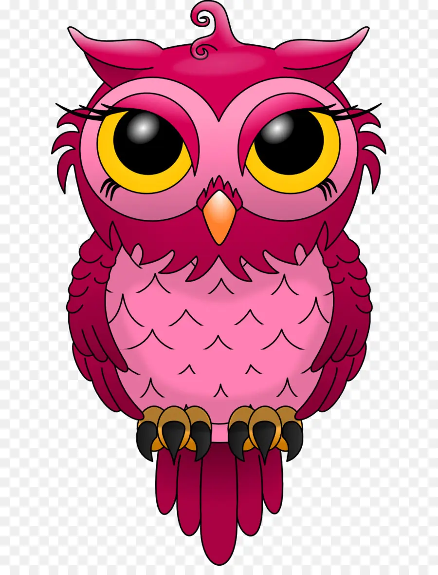 Búho，Oriental Screech Owl PNG