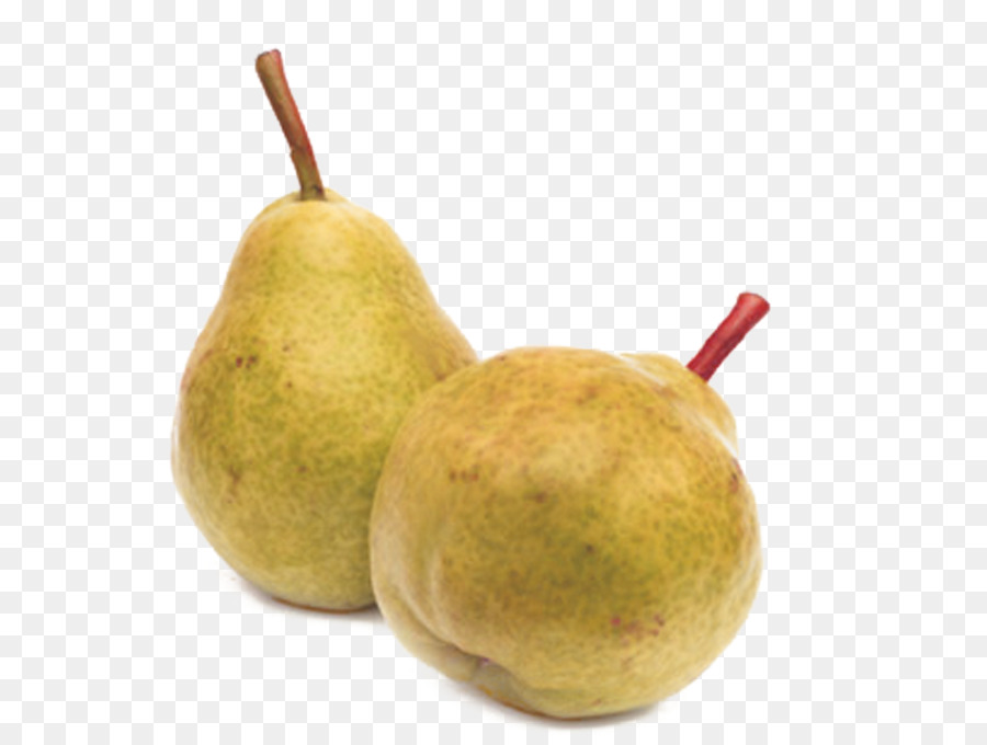 Pyrus Nivalis，Pera Asiática PNG