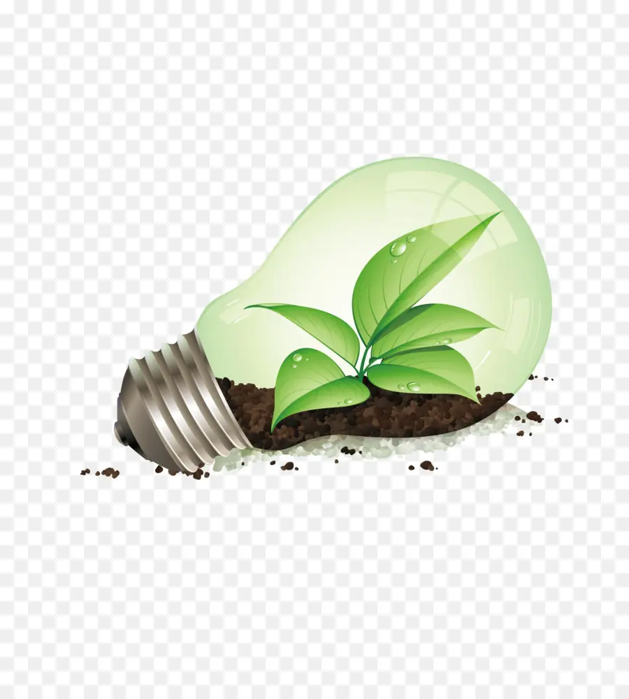 Bombilla，Planta PNG