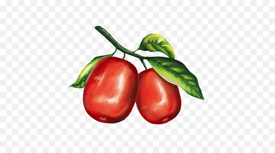 Tomates，Rojo PNG