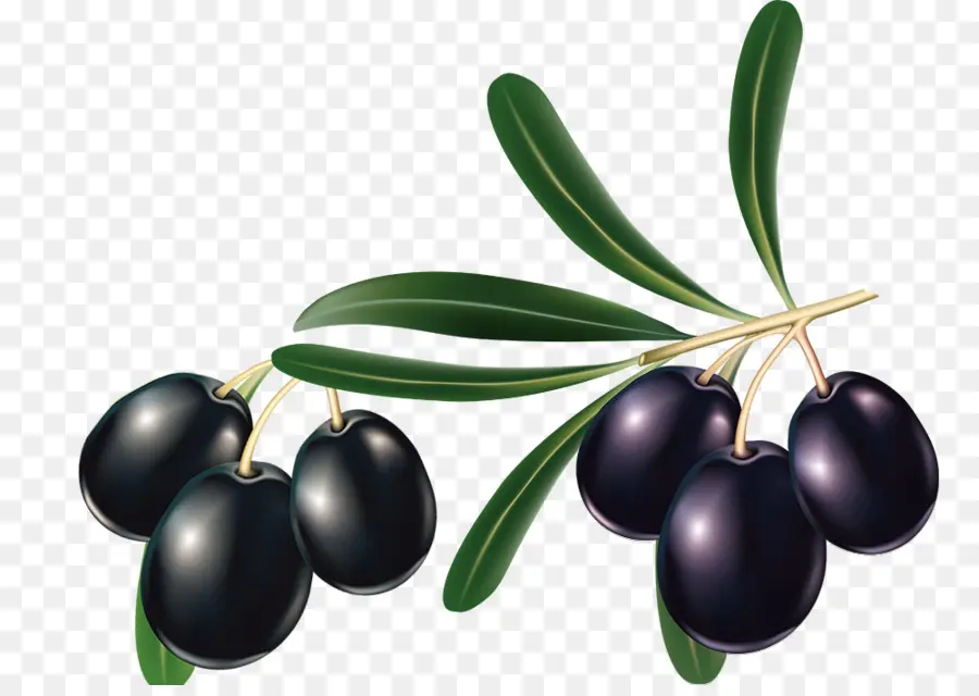 Aceitunas，Negro PNG