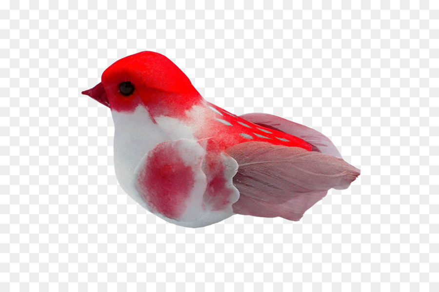 Pájaro，Vuelo PNG