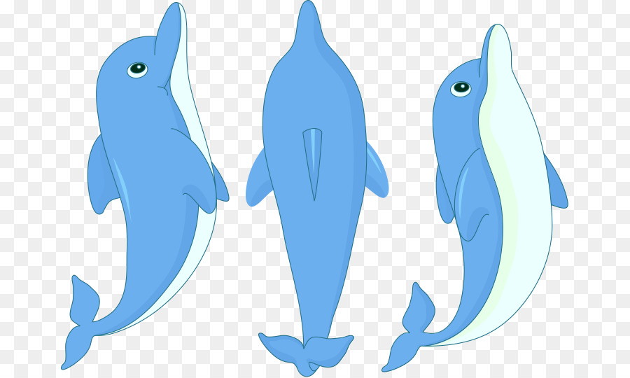 Delfines De Dibujos Animados，Marina PNG