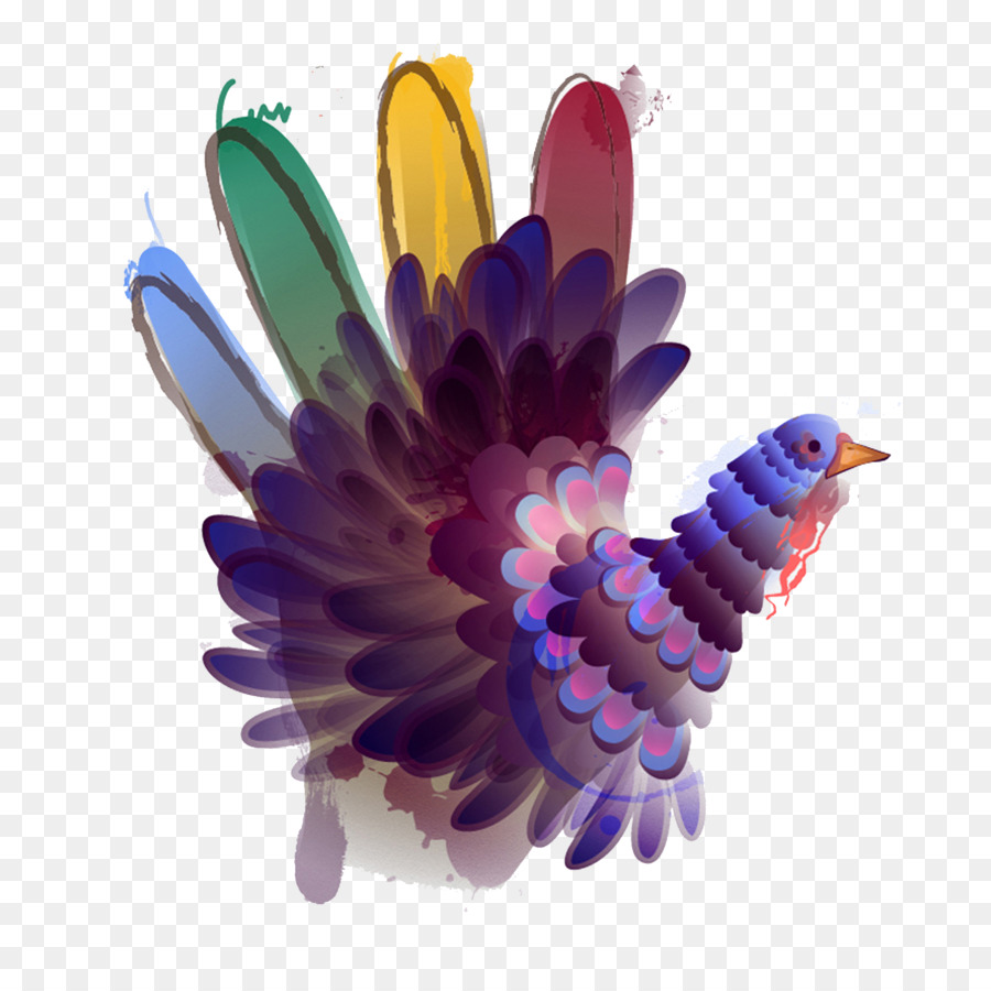 Pavo，Vistoso PNG