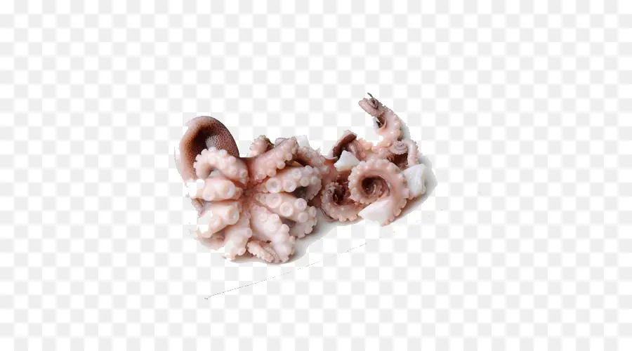 Pulpo，Calamar PNG