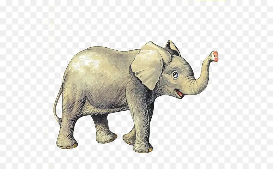 El Elefante Africano，Elefante Indio PNG