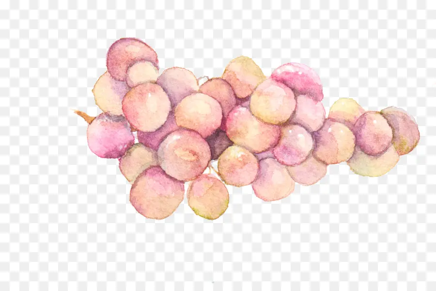 Uvas，Acuarela PNG