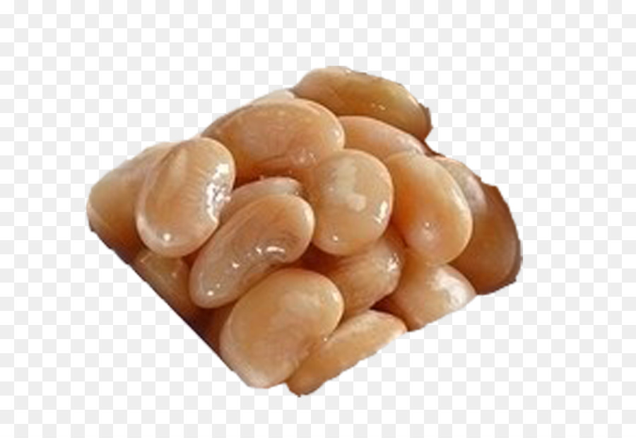 Sal，Bean PNG