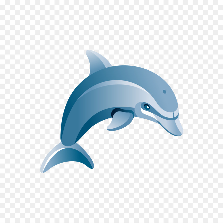 Delfines De Dibujos Animados，Marina PNG