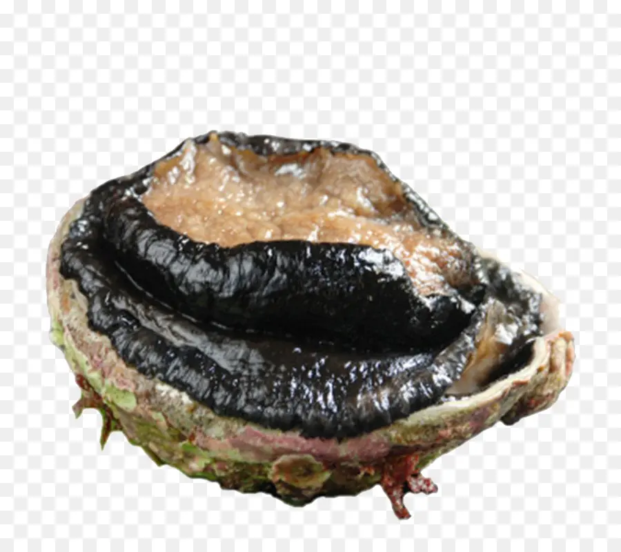 Abulón，Mariscos PNG