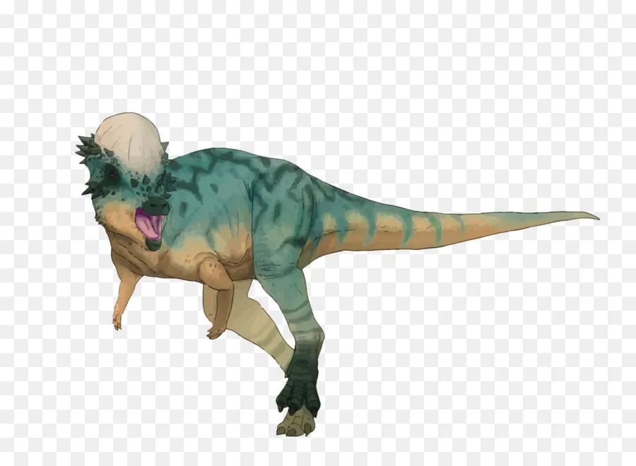 Juguete De Dinosaurio，Dinosaurio PNG