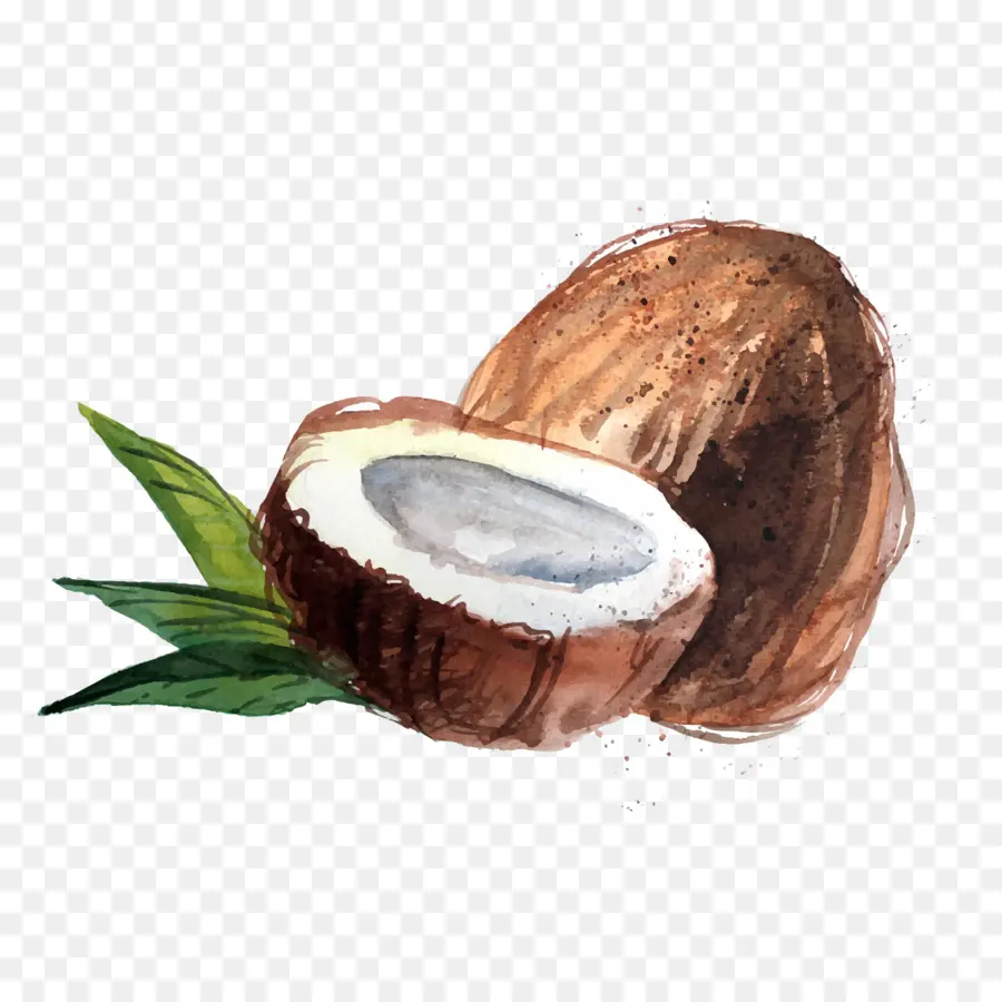 Agua De Coco，Raw Foodism PNG