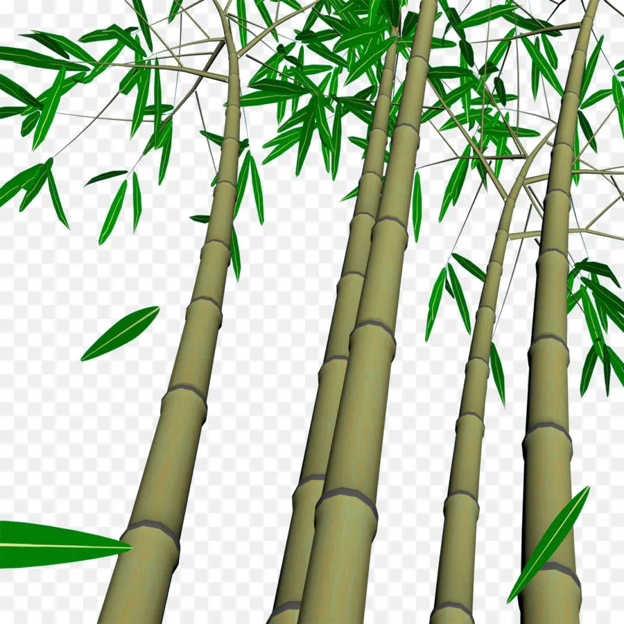 Bambú，La Pared PNG