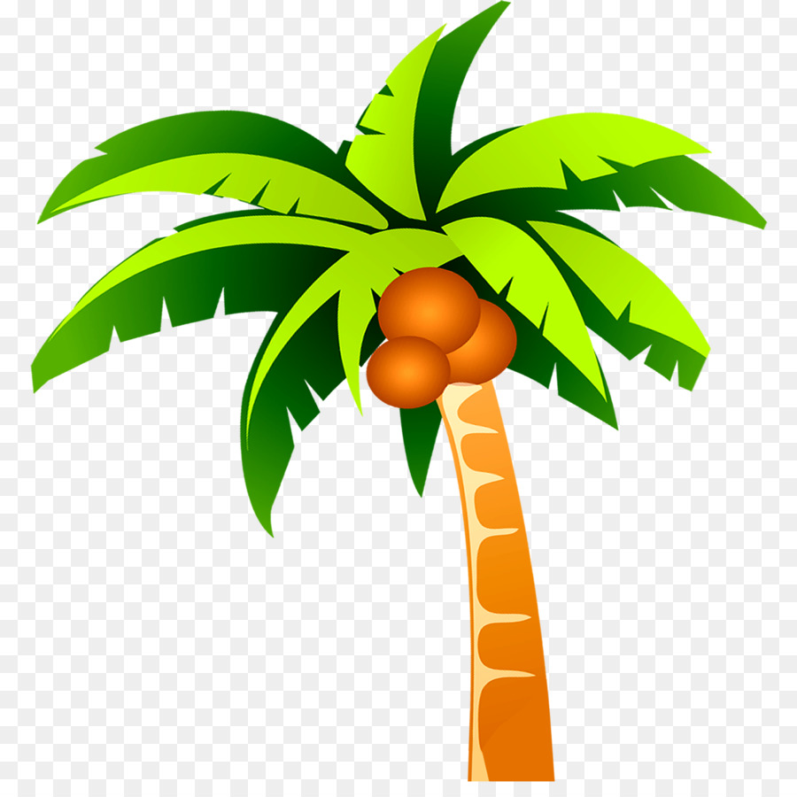 Coco，árbol PNG