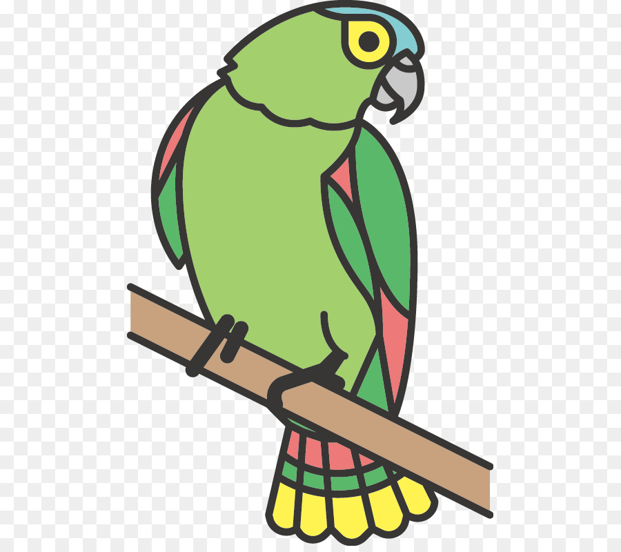 Pájaro，Colibrí PNG