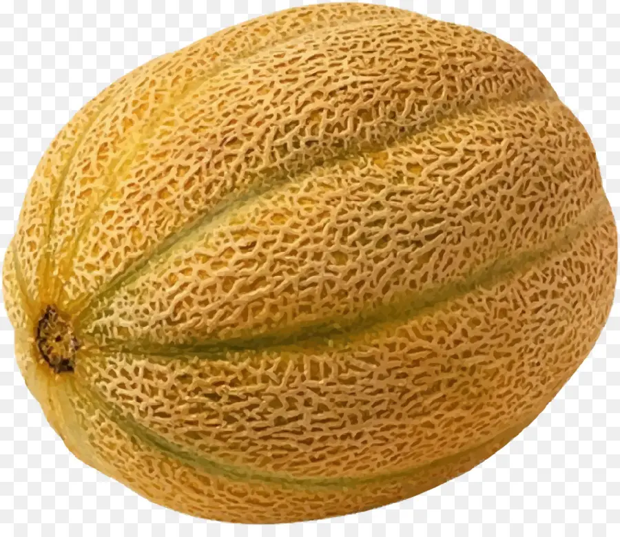 Melón，Melón Hami PNG