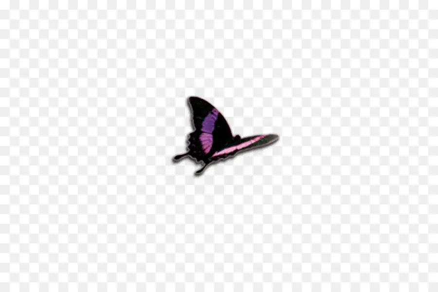 Mariposa，Negro PNG