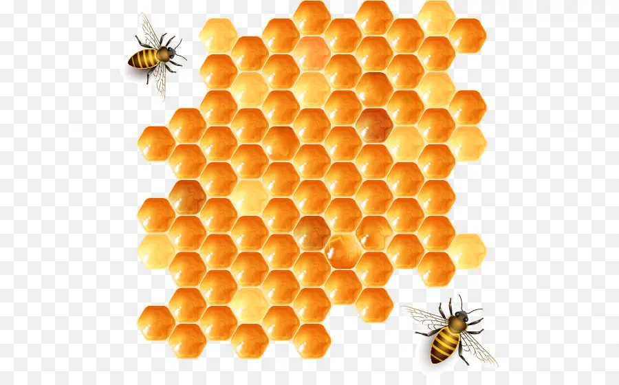 Abeja En Panal，Abeja PNG