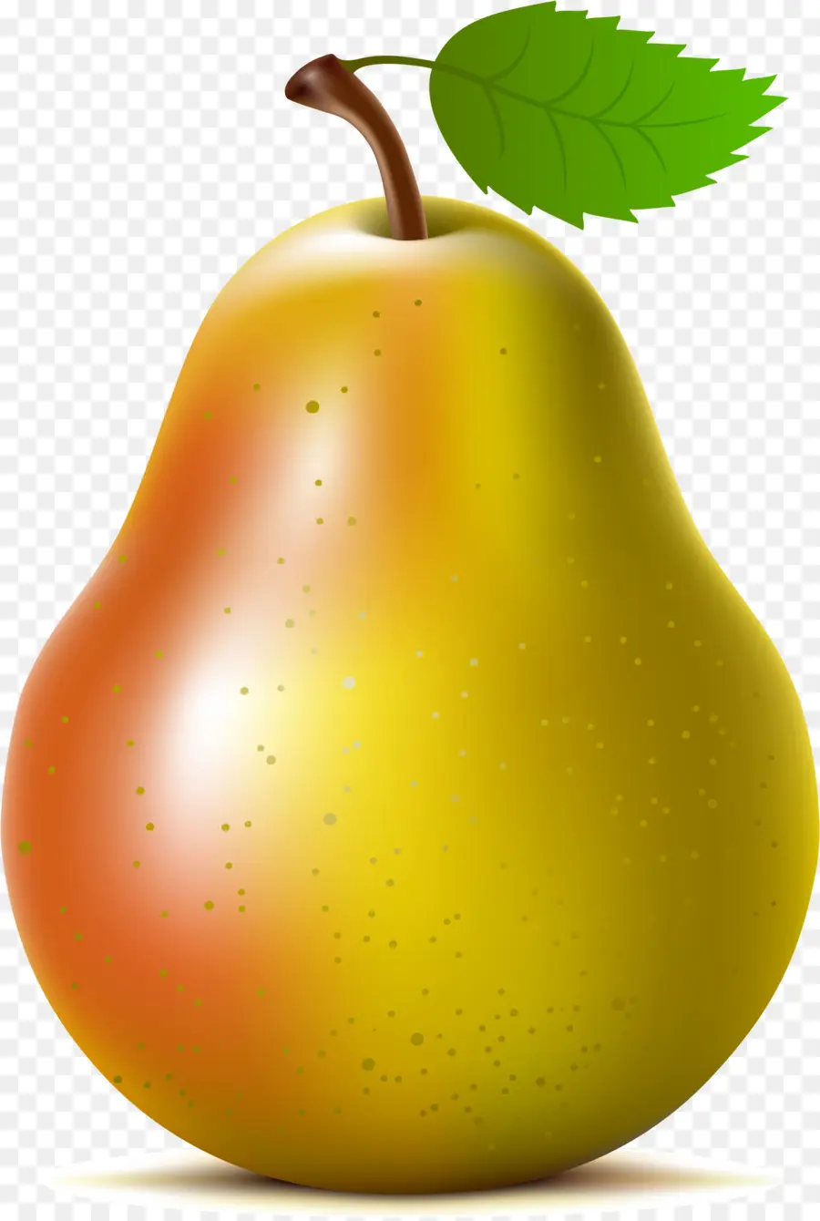 Pera Asiática，La Fruta PNG