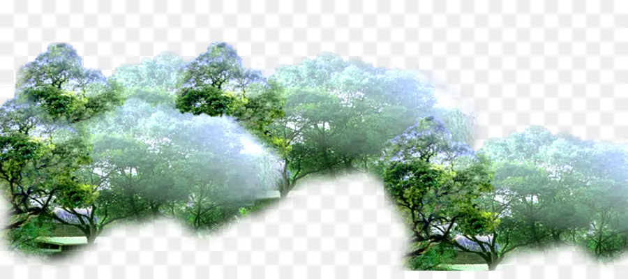 árboles Verdes，Hojas PNG