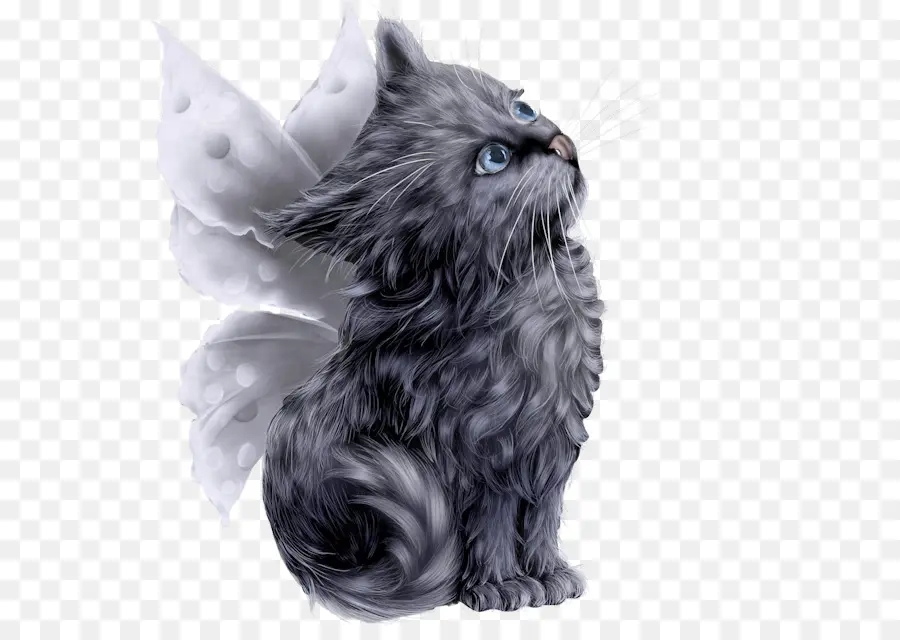 Gato Persa，Gatito PNG