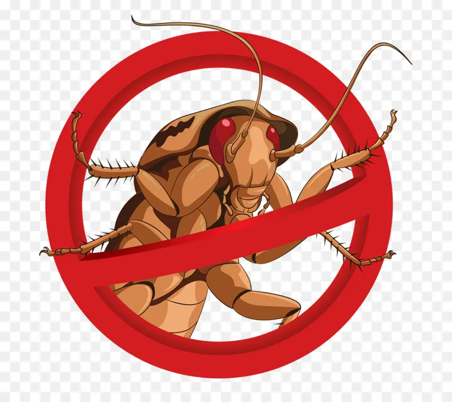 Cucaracha，Mosquito PNG