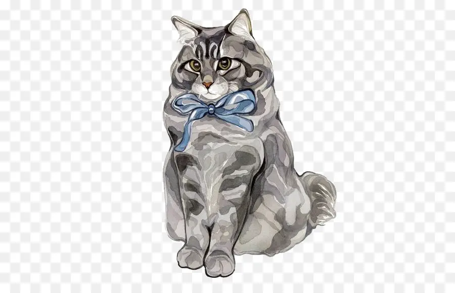 Gato，Gris PNG