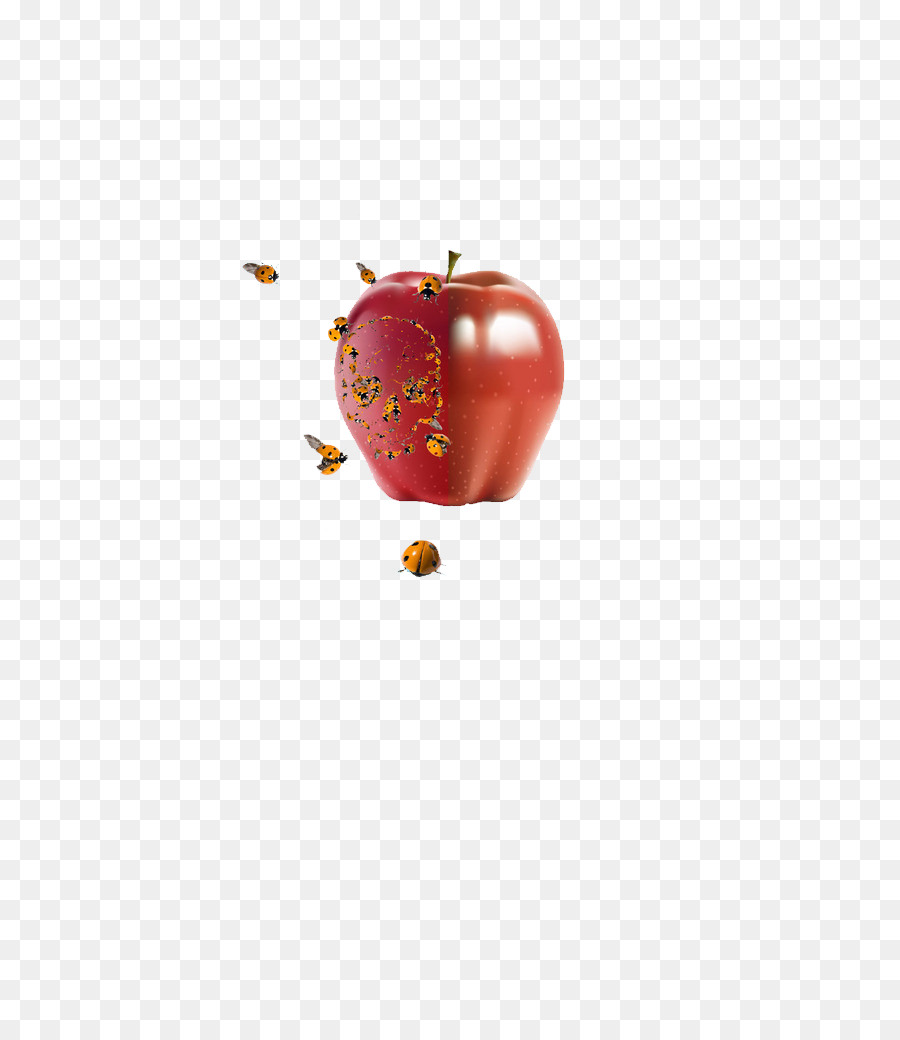 Abeja，Apple PNG