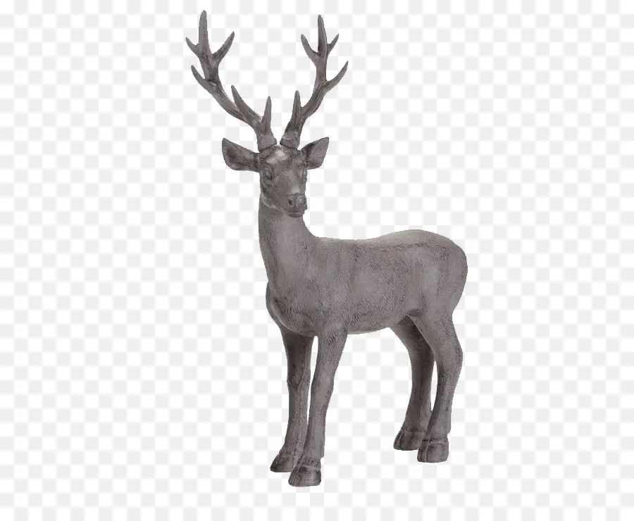 Reindeer，Deer PNG