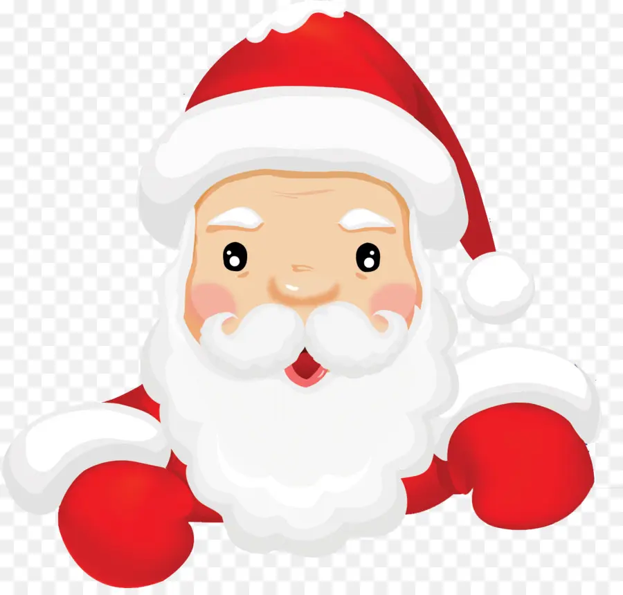 Pxe8re Noxebl，Santa Claus PNG