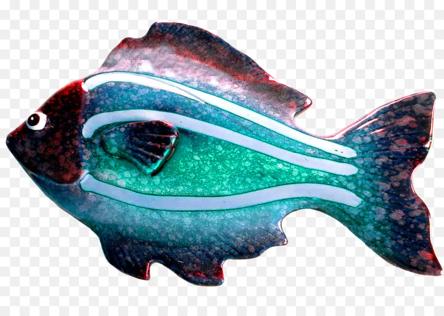 Peces De Colores，Acuático PNG