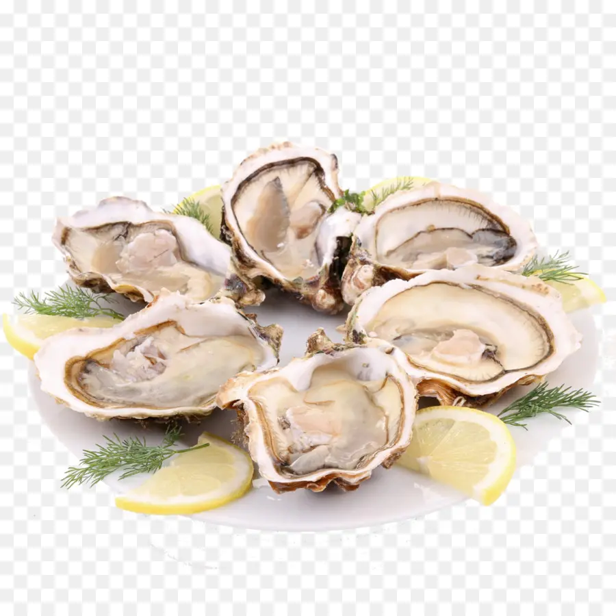 Ostras，Mariscos PNG