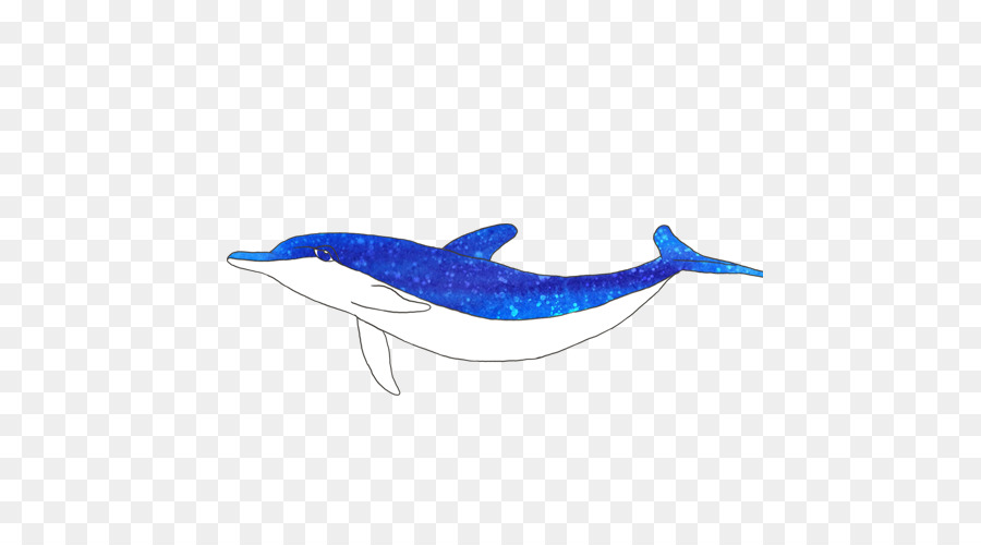 Ballena，Dolphin PNG