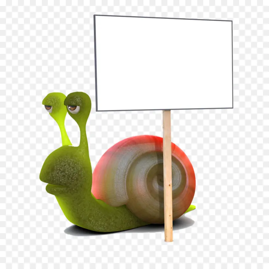 Cartel，Caracol PNG