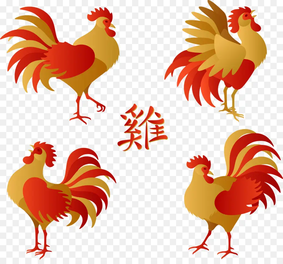 Gallo，Año Nuevo Chino PNG