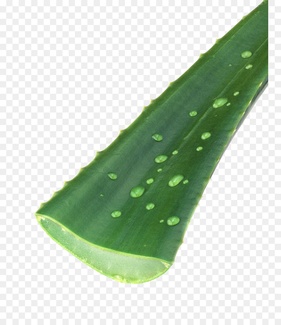 Hoja De Banana，Verde PNG