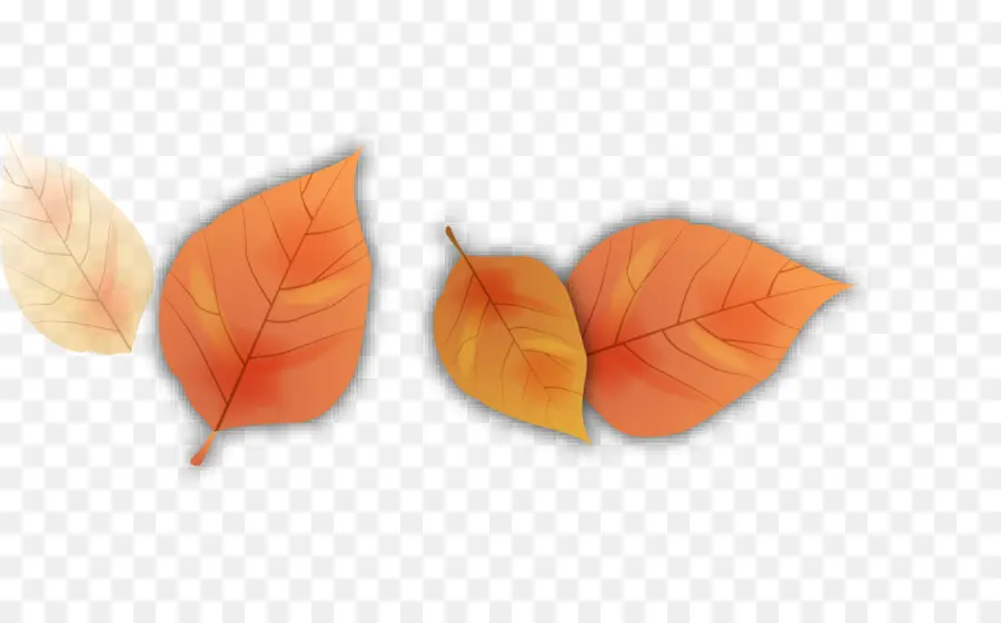 Hojas De Otoño，Hoja Amarilla PNG