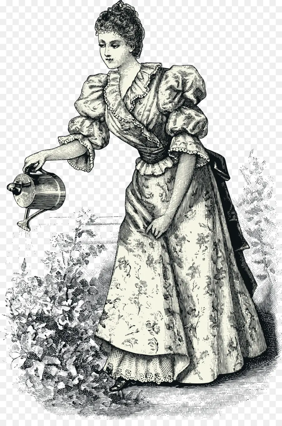 Mujer Regando Plantas，Jardinería PNG