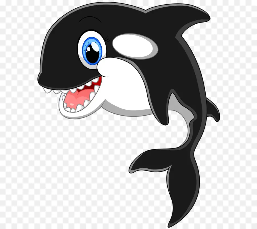 Ballena De Dibujos Animados，Orca PNG