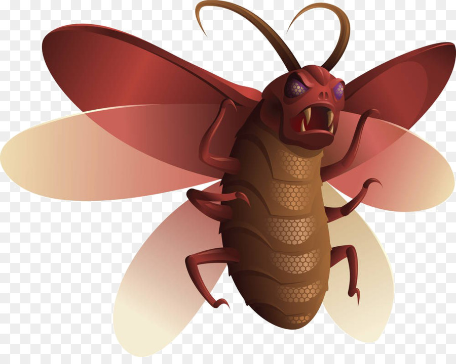 Los Insectos，De Dibujos Animados PNG